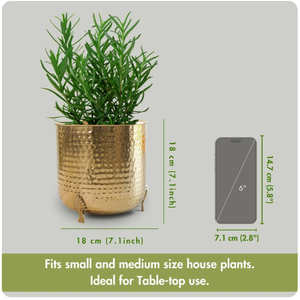 Maceta de metal con patas de hoja, maceta de metal grande y pesada diseñada para soportar condiciones climáticas adversas - Product Image 4