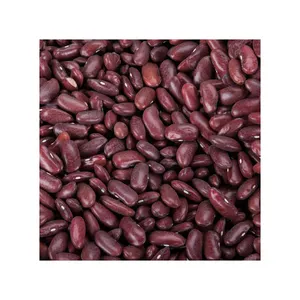Best Organic Red Kidney Beans with high quality from Viet Nam/ dried red kidney beans