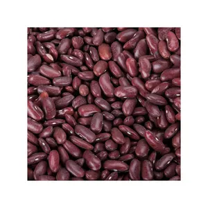 Kacang ginjal merah organik terbaik dengan kualitas tinggi dari Vietnam/kacang merah kering