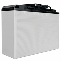 Batterie AGM VRLA 12V 100Ah à accès frontal, sans entretien, haute résistance aux températures, pour UPS et stations de télécommunications