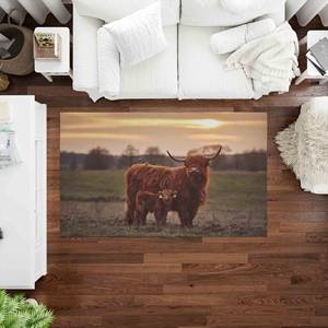 Highland Cow Printed <b>Rug</b> - Tropical, Coastal, Animal, Soft, Machine Washable,<b>Chenille</b> <b>Rug</b> - Product Image 2