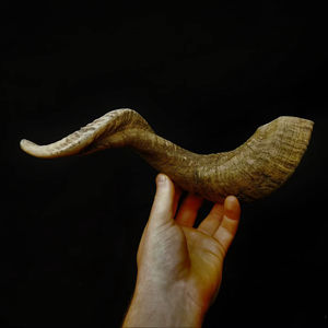 Cuernos de Oveja Reales, Cuernos Naturales Pulidos para Decoración y Manualidades, Alta Calidad - Product Image 1