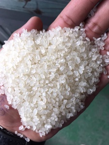 Arroz Vietnamita de Primera Calidad, 100% Puro, Blanco, Japonica, Grano Corto, Pulido, de Can Tho, Vietnam, para Servicios de Alimentación, Venta al por Mayor - Product Image 2