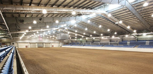 Kit de hangar à poteaux 150x100, couverture de tente d'arène, écurie portable pour chevaux - Product Image 6