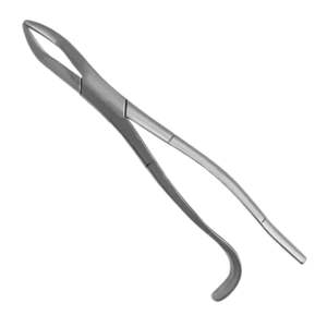 Forceps d'extraction dentaire universels allemands, instruments dentaires en acier inoxydable de qualité supérieure avec mâchoires dentelées - Product Image 2