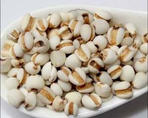 SEMILLA COIX PARA LA SALUD DE LA PIEL/ALIMENTOS DE BELLEZA LIMPIA/APOYO INMUNE/GRANO ANTIGUO - Product Image 6
