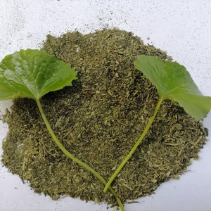 ผงใบเพนนีเวิร์ทสกัดจากใบบัวบกบริสุทธิ์ - Product Image 2