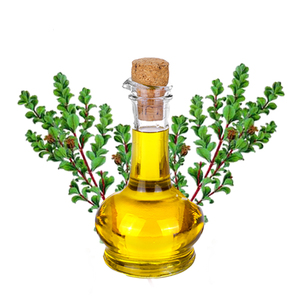 Nuevo extracto de hoja de buchu de Grado Superior ACEITE DE buchu al mejor precio - Product Image 2