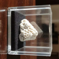 Perles rondes naturelles en forme de tambour, percées au centre, corail, fabrication de bijoux, Inde, vente en gros, pierres précieuses en vrac, 20% de réduction, blanc