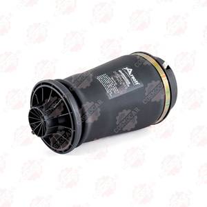 Arnott A-2596 Balona cuscinetti a puntone per sospensioni posteriori progettati per W164 x 164x166 W166 C292 - Product Image 2