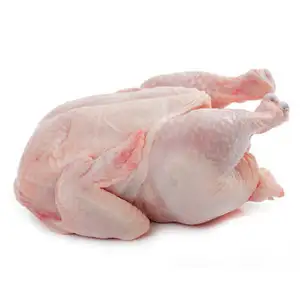 Tiefkühl-Halal-Huhn bester Preis