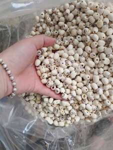 100% Semillas de loto secas puras Semillas de loto secas seleccionadas a mano de estanques sagrados - Product Image 5