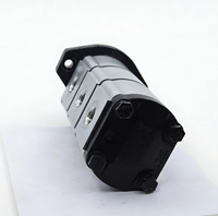 Lesili Hidrolik Dişli Pompası 6677829 6669649 Uyumlu Mini Ekskavatörler 320 322 323 320D 322G WH 5WHP3 5 HP 200 Bar 2900psi 1 Yıl Garantili