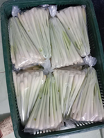Offres Spéciales Cymbopogon citratus de Cochin frais ou herbe de Malabar herbe de Malabar congelée
