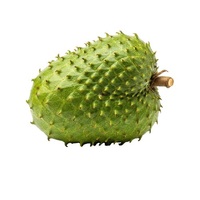 Hele Zuurzak Fruit