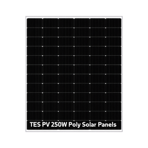 Panel Solar Polivinílico TES PV 250W - Product Image 2
