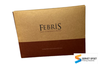 Carpeta de Cartón para Folletos y Catálogos, Papel de Arte Impreso en Offset, Tamaño y Color Personalizados, con Laminado Brillante