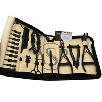 Kit de herramientas de alicates de extensión de cabello iTip con pinzas de corte agujas gancho tijera de bucle que incluye cinta profesional en alicates de extensión