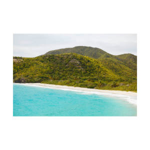 Troncos largos de haya de primera calidad para Muebles personalizados, excelentes precios y cantidades a granel disponibles - Product Image 3