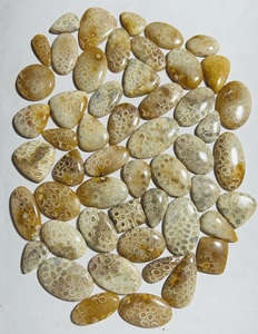 100% naturel en vrac pierres précieuses guérison fossile corail Cabochon taille personnalisée haute qualité tiers certifié Trimurti gemmes pour bijoux - Product Image 4