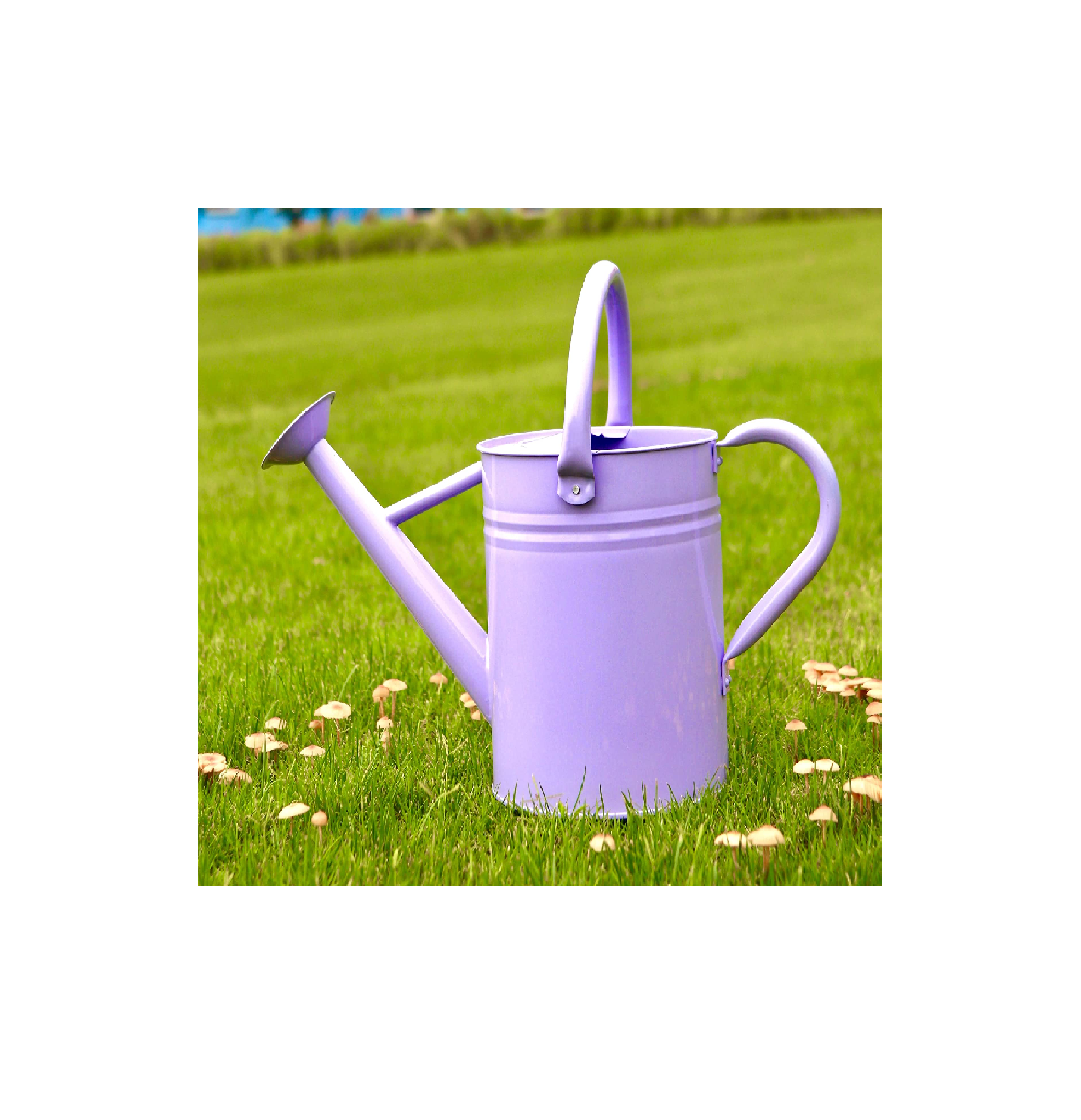 สีที่กำหนดเอง