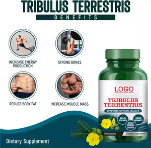 Bổ sung sức khỏe tăng cường năng lượng viên nang <span class=keywords><strong>Tribulus</strong></span> <span class=keywords><strong>terrestris</strong></span> chiết xuất viên nang máy tính bảng - Product Image 6