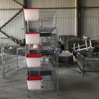 Poulailler adapté aux petites exploitations avicoles, personnalisable, différentes couches, cage à poulets de type H pour poulets de chair, à bon prix