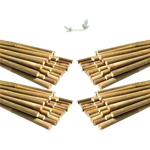 100% NATURAL Bamboo pole flower supporting Bamboo plant sticks wooden grow Bamboo plant support garden HIGH QUALITY