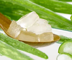 Jalea de aloe vera Premium para té de burbujas y bebidas saludables | Calidad DE EXPORTACIÓN DE Vietnam - Product Image 1
