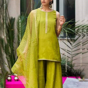 Nouveauté Dames Shalwar Kameez Design Costumes Pakistanais Vêtements d'hiver pour femmes disponibles au prix de gros - Product Image 3