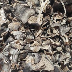 PRIX BAS ET CHAMPIGNON DE PAILLE SÉCHÉE DE HAUTE QUALITÉ-CHAMPIGNON DE PAILLE SÉCHÉE VIETNAMIENNE - Product Image 3