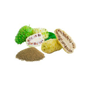 Extrait sec de noni (10:1) Poudre végétale standardisée pour le soutien de la santé naturelle Renforcement immunitaire et bien-être général - Product Image 3