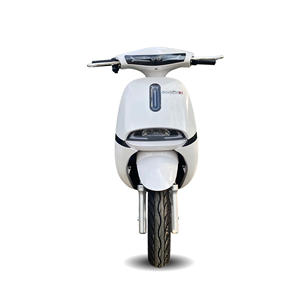 Antes de todo, motocicleta de carreras eléctrica para adultos de alto rendimiento Gopath SI lista para exportar estilo Streetbikes - Product Image 6