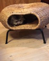 Le lit tissé naturel pour animaux de compagnie en rotin fait à la main transforme les meubles de table pour chien et chat pour une utilisation en intérieur personnalisé en gros