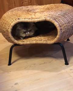 บ้านสัตว์เลี้ยงหวายทำด้วยมือเตียงสัตว์เลี้ยงทอธรรมชาติโต๊ะแปลงสุนัขแมวเฟอร์นิเจอร์สำหรับใช้ในร่มแบบกำหนดเองขายส่ง - Product Image 3