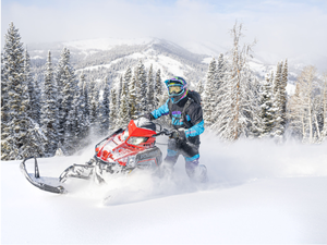 Patriot 9R PRO RMK 155 SC 2025, Último Modelo en Stock, Grado Industrial para Bricolaje con Soporte Personalizado OEM, Origen Estadounidense, 1 Año de Garantía - Product Image 2