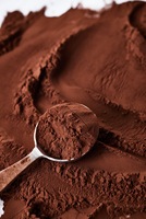 Poudre de cacao ultra-noire alcalinisée, 10-12% de matières grasses, procédé hollandais, fournisseur en vrac brésilien