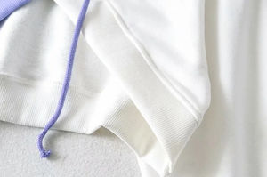 Personalizado transpirable Vintage peso pesado Unisex Essentials de gran tamaño en blanco de las mujeres recortadas sudaderas con capucha para las mujeres - Product Image 4