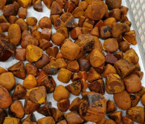 Galle de bœuf de haute qualité médicinale, pour vache et bétail/galle de bœuf - Product Image 5