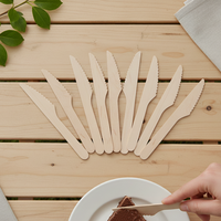 Couteaux en bois de 165 mm, écologiques, biodégradables, en bois de bouleau, pour hôtels et restaurants, couteaux jetables de qualité alimentaire en vrac