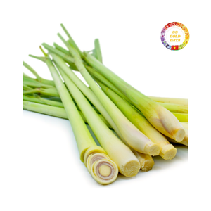 Lemongrass congelado al por mayor de Vietnam con sabor superior para importadores globales y proveedores de servicios de alimentos - Product Image 5
