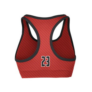 Bajo MOQ OEM ODM Alta calidad Mujeres Gimnasio Acolchado Sexy Sin costuras Alto impacto Entrenamiento Fitness Yoga Tallas grandes Sujetador deportivo - Product Image 4