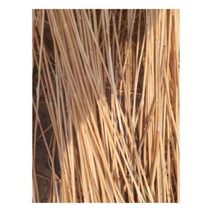 แกนกลางหวายจากเวียดนาม-แกนหวายธรรมชาติทนทานและวัสดุธรรมชาติยืดหยุ่นสำหรับการผลิตเฟอร์นิเจอร์หวายและงานฝีมือ DIY - Product Image 2