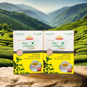 Té DE SALUD DE Ampelosis de folio seco de Vietnam 36 meses de vida útil Ampelopsis Cantoniensis bolsa de té 20 bolsitas de té 100% - Product Image 6