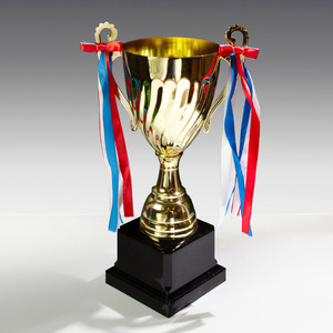 Medallas de Acrílico Chapadas en Oro, Duraderas, de 295 mm, para Premios Deportivos y Regalos en Ferias Comerciales - Product Image 1