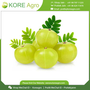 100% Produit organique entier Amla de beauté et de soin à base de plantes Acheter au prix de gros - Product Image 2