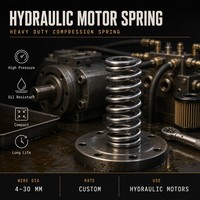 Ressort de compression pour moteur hydraulique