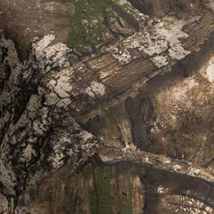 Unisex Lightweight Hooded Combat Camo Print Shirt Breathable Waterproof Soft <b>Shell</b> Performance Workout Tactical Uniform - Product Image 5