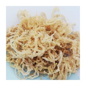 Musgo Marino Seco al Sol Morado Silvestre, Alga Irlandesa Premium Eucheuma Cottonii para Gel, Musgo Marino Seco en Polvo Natural, Suministro a Granel - Product Image 2