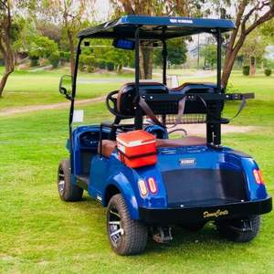 Carrito de golf eléctrico de 2 plazas personalizable, buggy silencioso para uso en hoteles y campus - Product Image 3